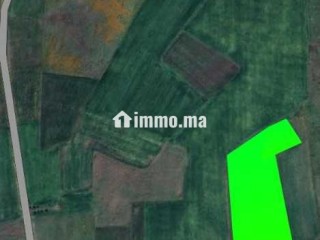 ارض للبيع ببرشيد - Terrain à vendre - Casablanca