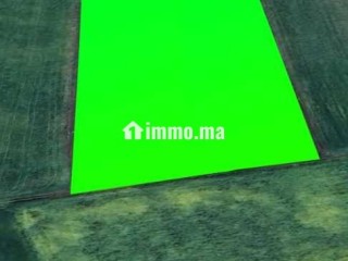 ارض للبيع ببرشيد - Terrain à vendre - Casablanca