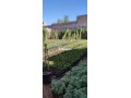Superbe Maison à Vendre – 300 m² à Aghmat - miniature 5