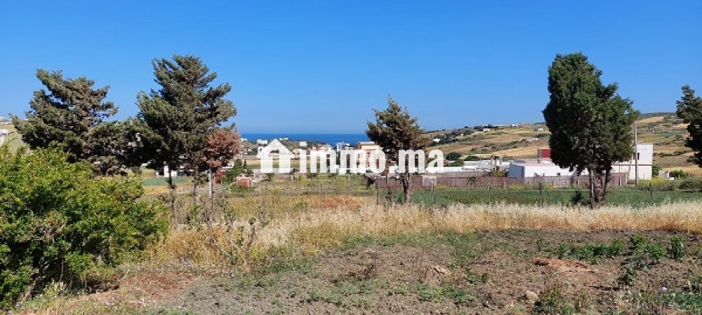 Terrain vue sur mer - Vente Immobilier - Tanger - photo 2