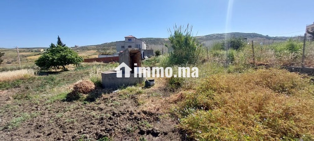 Terrain vue sur mer - Vente Immobilier - Tanger - photo 3