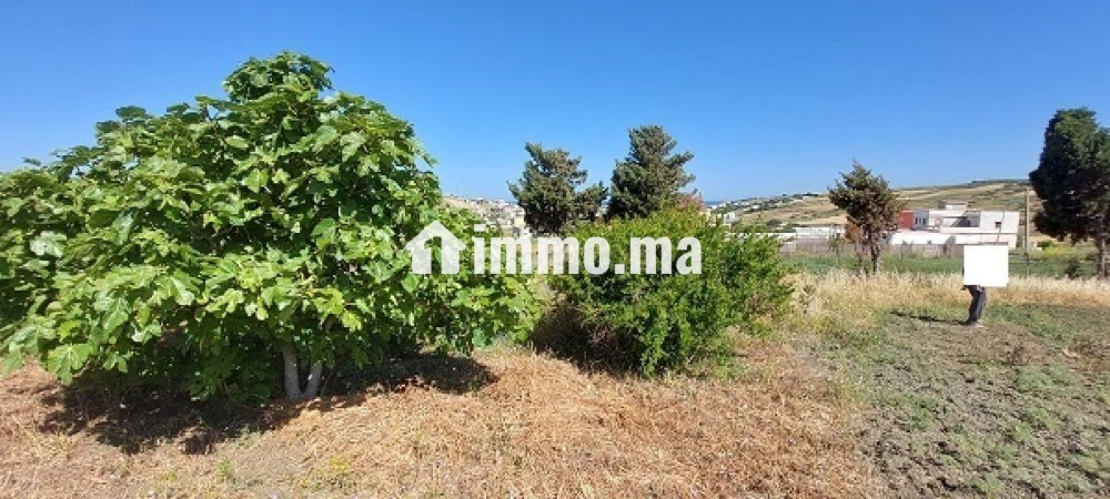 Terrain vue sur mer - Vente Immobilier - Tanger - photo 4