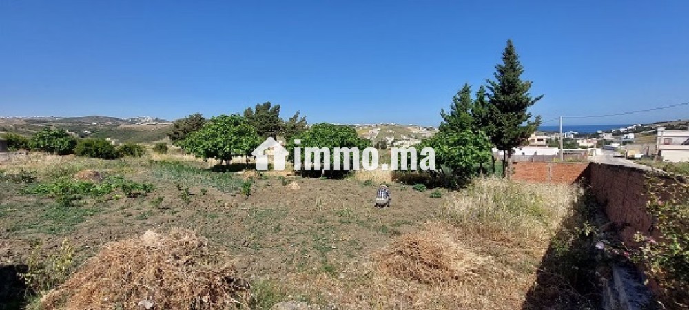Terrain vue sur mer - Vente Immobilier - Tanger - photo 5