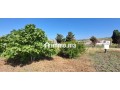 terrain-vue-sur-mer-small-3