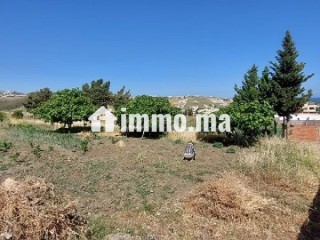 Terrain vue sur mer - Villa à vendre - Tanger