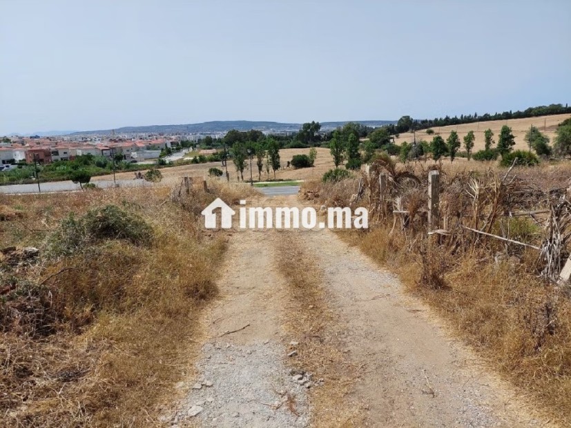 Terrain pour villa - Vente Immobilier - Tanger - photo 3