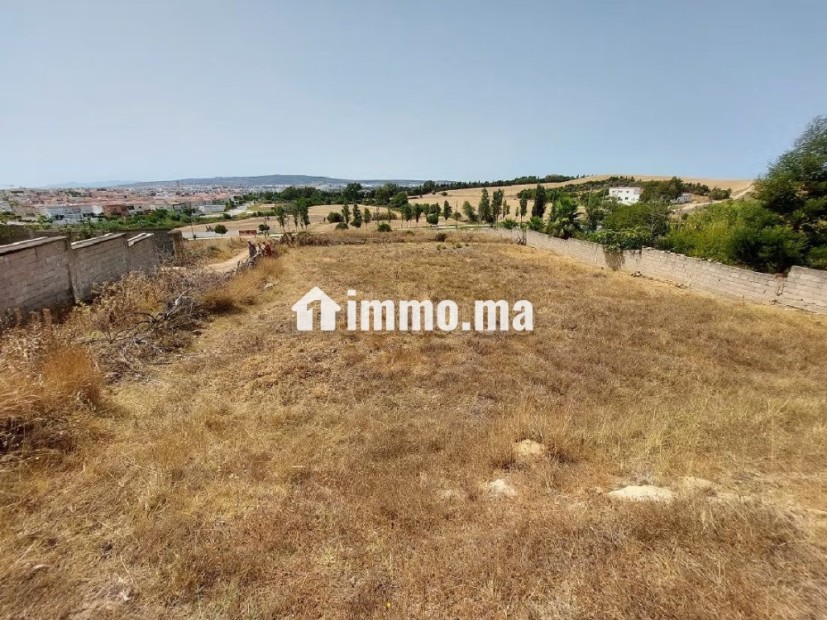 Terrain pour villa - Vente Immobilier - Tanger - photo 4