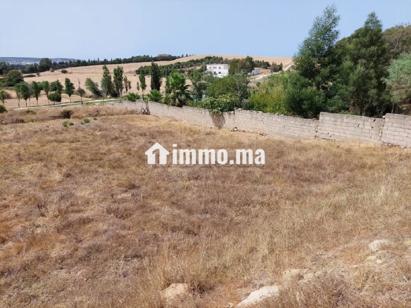 Terrain pour villa - Vente Immobilier - Tanger - photo 5