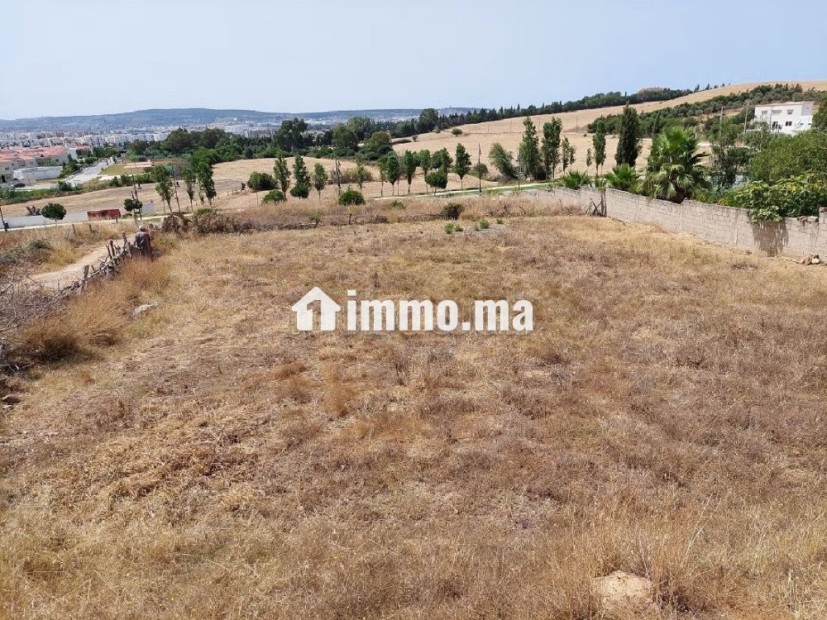 Terrain pour villa - Vente Immobilier - Tanger - photo 7