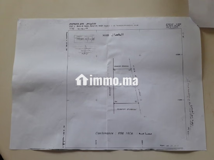 Terrain pour villa - Vente Immobilier - Tanger - photo 8