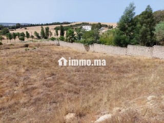 Terrain pour villa - Villa à vendre - Tanger