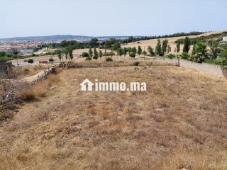 Terrain pour villa - Villa à vendre - Tanger