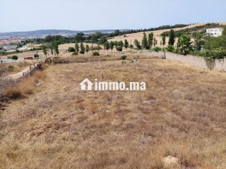 Terrain pour villa - Villa à vendre - Tanger