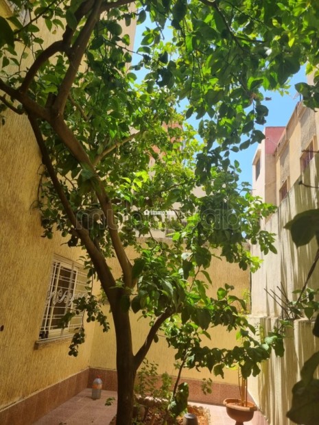 Maison 137m² Bassatine, calme et ensoleillée - Vente Immobilier - Meknes - photo 5
