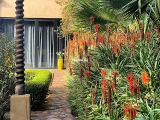 À vendre Riad de lux à Taroudant - Villa à vendre - Taroudant