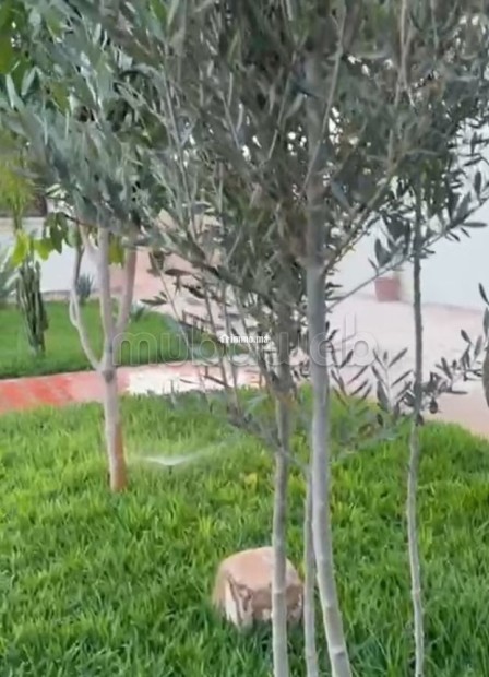 Riad Vue Panoramique - Vente Immobilier - Taroudant - photo 5