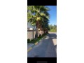 vente-villa-commerciale-a-californie-panoramique-small-2
