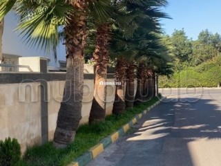 Vente villa Commerciale à Californie Panoramique - Villa à vendre - Casablanca