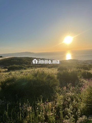 Offre de terrain en cours de construction réservé aux villas - Vente Immobilier - Tanger - photo 1