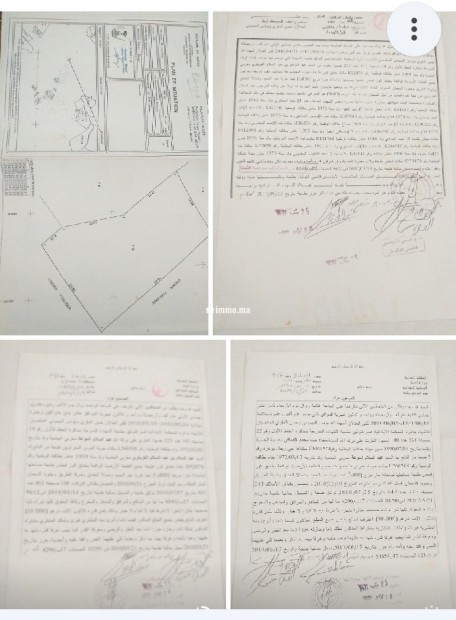 أرض عارية للبيع بثمن مناسب - Vente Immobilier - Tanger - photo 1