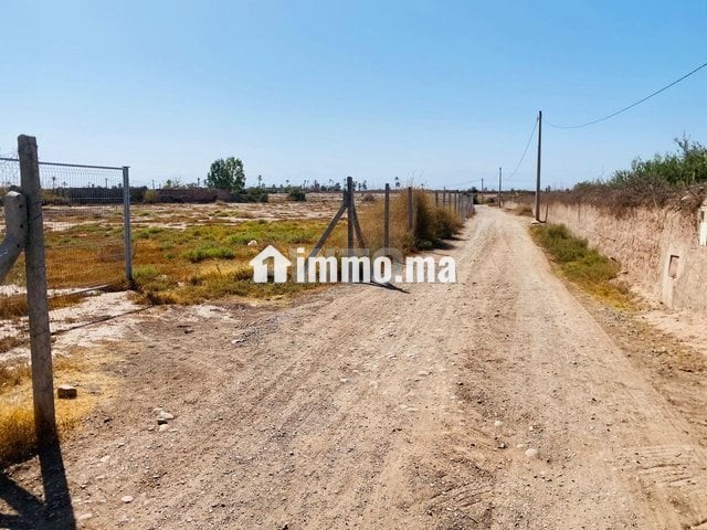 Titre d'un hectare - Vente Immobilier - Marrakech - photo 2