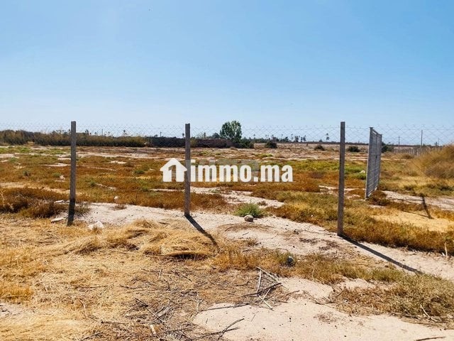 Titre d'un hectare - Vente Immobilier - Marrakech - photo 7