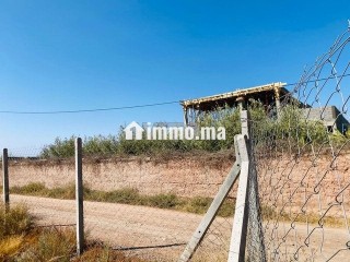 Titre d'un hectare - Terrain à vendre - Marrakech