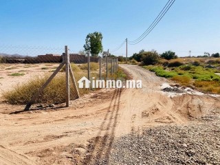 Titre d'un hectare - Terrain à vendre - Marrakech