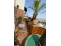 Appartement avec terrasse à la location à gauthier - miniature 4