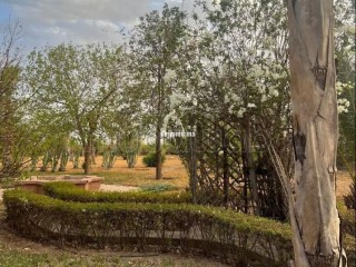 Vente villa sur la Route de Fez avec VNA - Villa à vendre - Marrakech