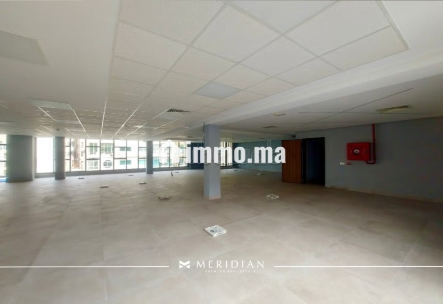 Immeuble Professionnel Neuf & Moderne sur Blvd - Location Immobilier - Casablanca - photo 3