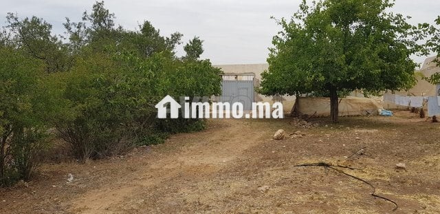 Terrain -ferme a louer - Location Immobilier - Fes - photo 3