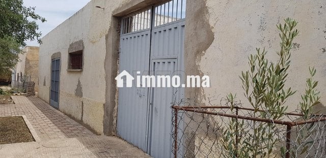 Terrain -ferme a louer - Location Immobilier - Fes - photo 5