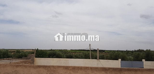 Terrain -ferme a louer - Location Immobilier - Fes - photo 6