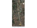 4000m2 TF à Bouskoura - miniature 2