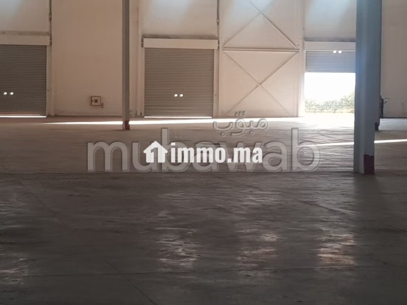 Location industriel LIL 120 de 8700m² a Sapino - Location Immobilier - Nouaceur - photo 2