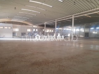 Location industriel LIL 120 de 8700m² a Sapino - Appartement à louer - Nouaceur