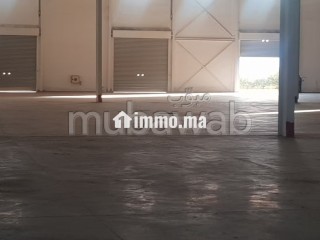 Location industriel LIL 120 de 8700m² a Sapino - Appartement à louer - Nouaceur