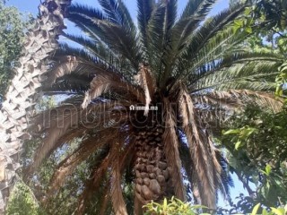 Complexe 4 Etoiles Touristique à Benslimane - Villa à vendre