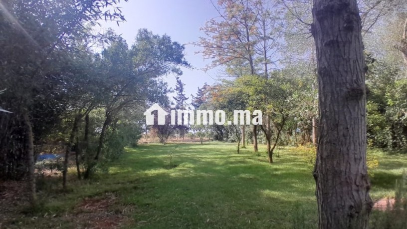 complexe-4-etoiles-touristique-a-benslimane-big-3