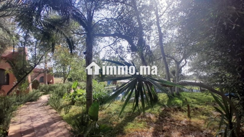 complexe-4-etoiles-touristique-a-benslimane-big-7