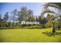 Villa d'exception sur un terrain de 12 000 m² - miniature 1