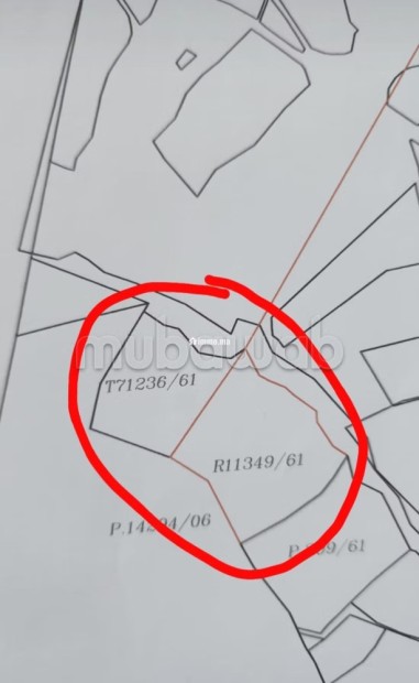 2 terrains de 9514m² titré et 14000m² réquisition - Vente Immobilier - Autre - photo 2