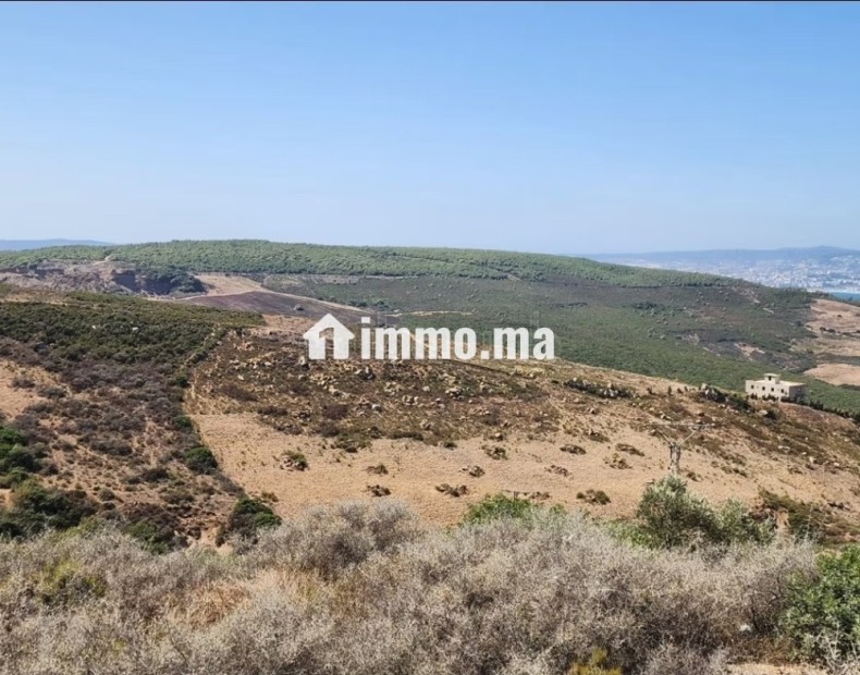 2 terrains de 9514m² titré et 14000m² réquisition - Vente Immobilier - Autre - photo 3