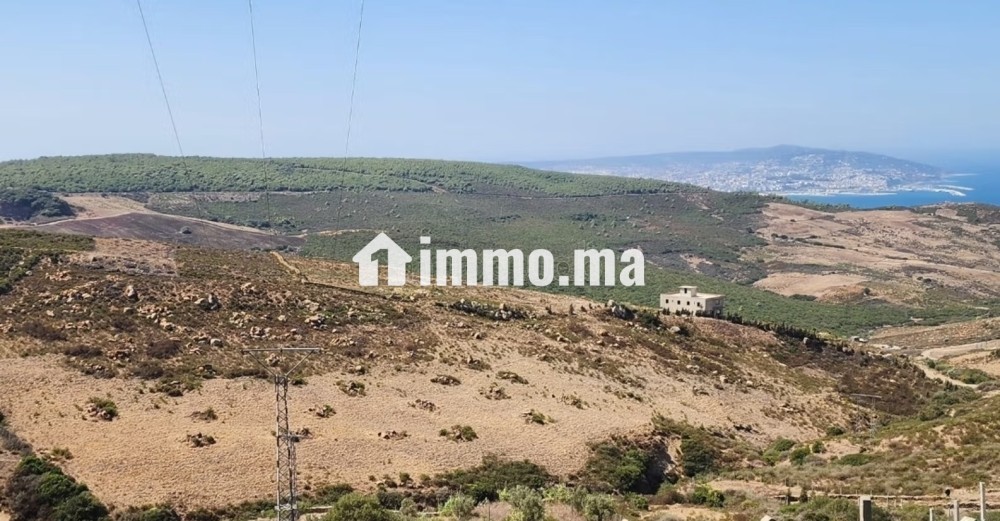 2 terrains de 9514m² titré et 14000m² réquisition - Vente Immobilier - Autre - photo 4