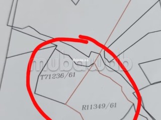 2 terrains de 9514m² titré et 14000m² réquisition - Terrain à vendre - Autre