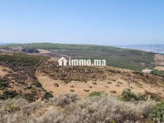 2 terrains de 9514m² titré et 14000m² réquisition - Terrain à vendre - Autre