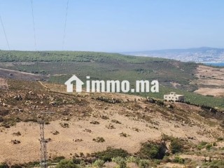 2 terrains de 9514m² titré et 14000m² réquisition - Terrain à vendre - Autre