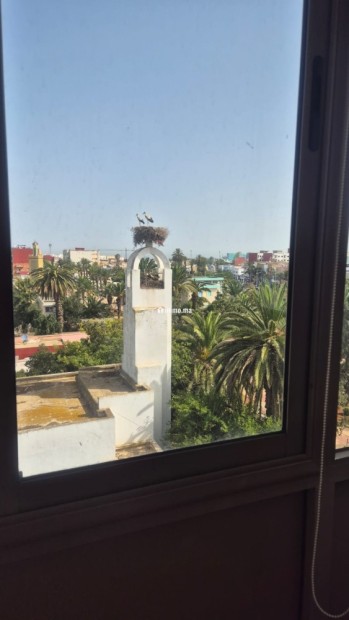 Bel appartement niché au centre de Bouznika - Vente Immobilier - Bouznika - photo 1