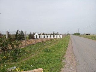 terrain-de-4-hectares-a-vendre-bsabes